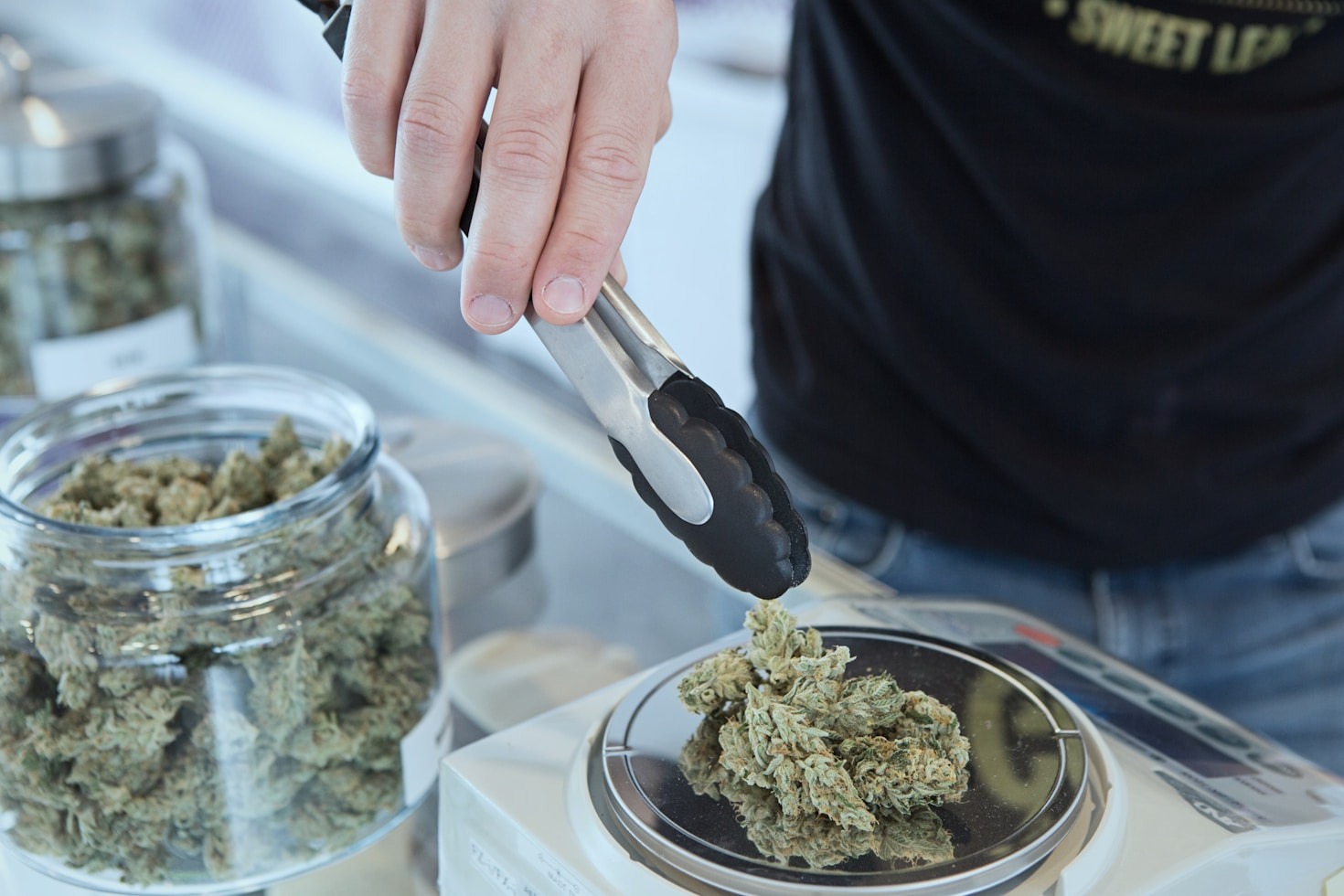 How Cannabis is Transforming Wellness Routines