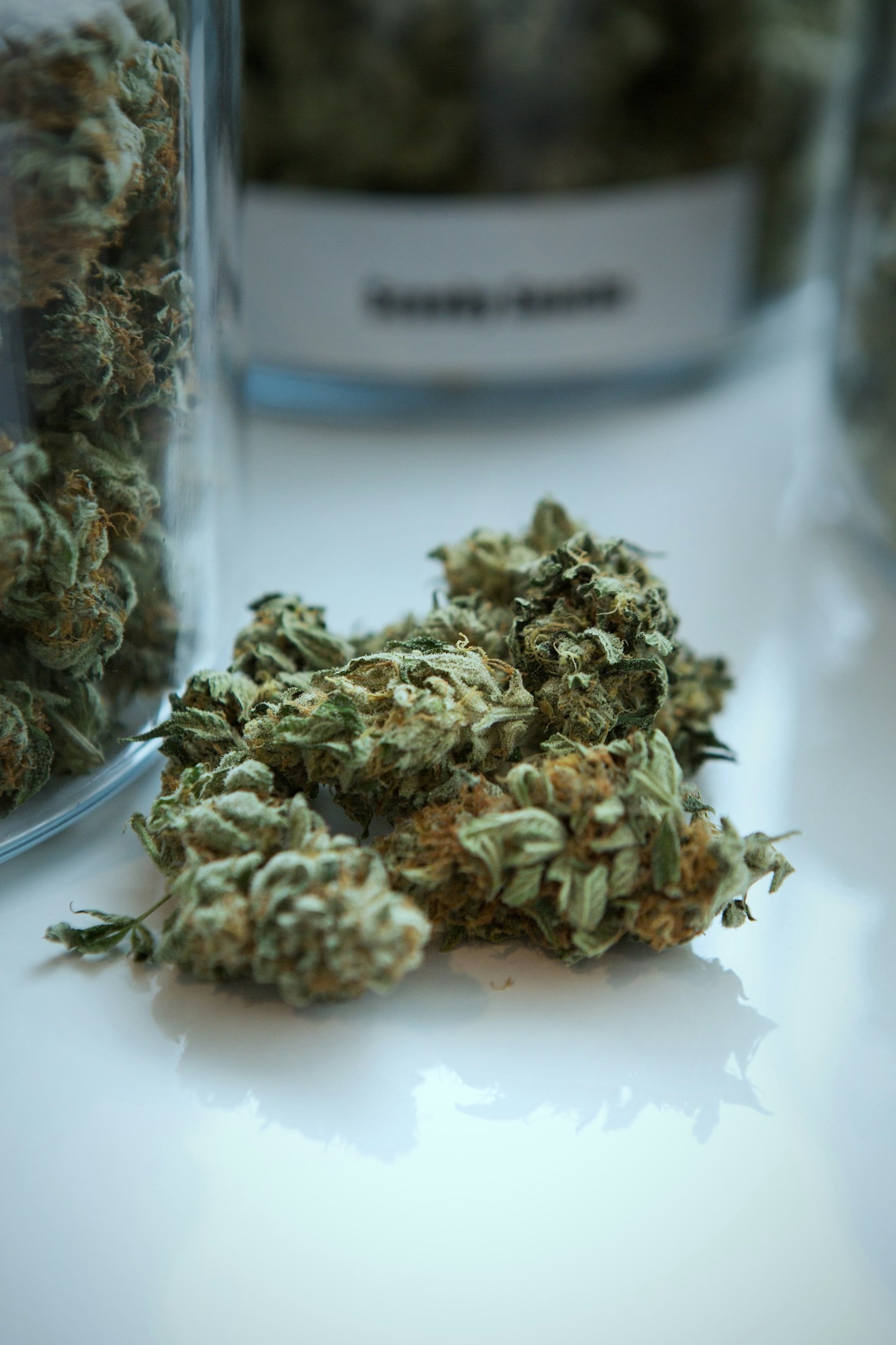 Cooking with Cannabis: Tips and Recipes
